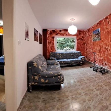 Daria Lorenzo Apartament Timisoara Bagian luar foto