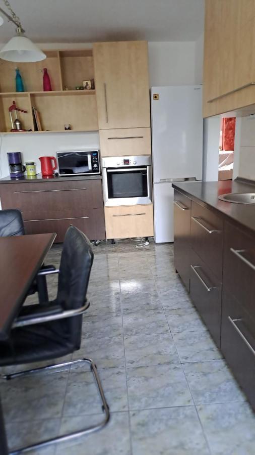 Daria Lorenzo Apartament Timisoara Bagian luar foto