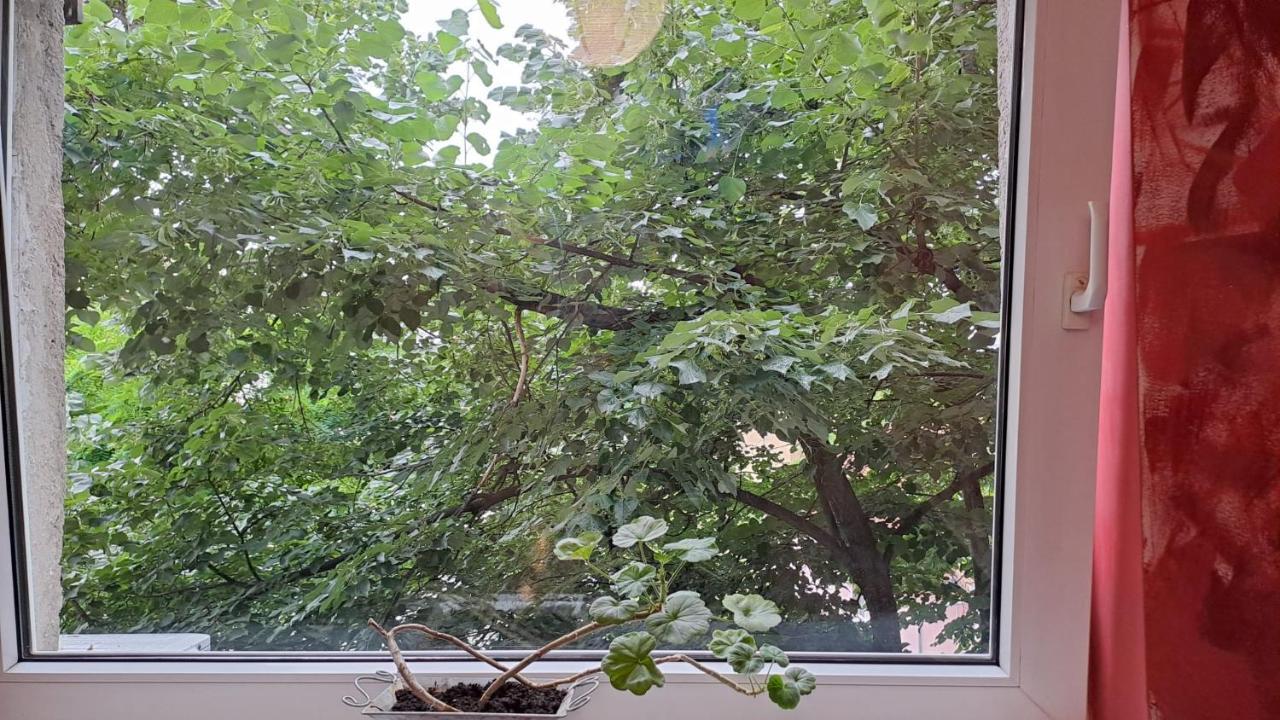 Daria Lorenzo Apartament Timisoara Bagian luar foto