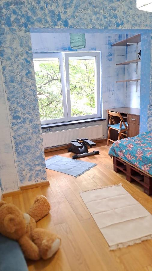 Daria Lorenzo Apartament Timisoara Bagian luar foto