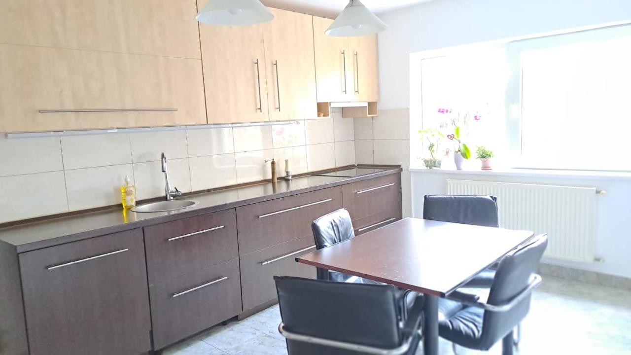 Daria Lorenzo Apartament Timisoara Bagian luar foto