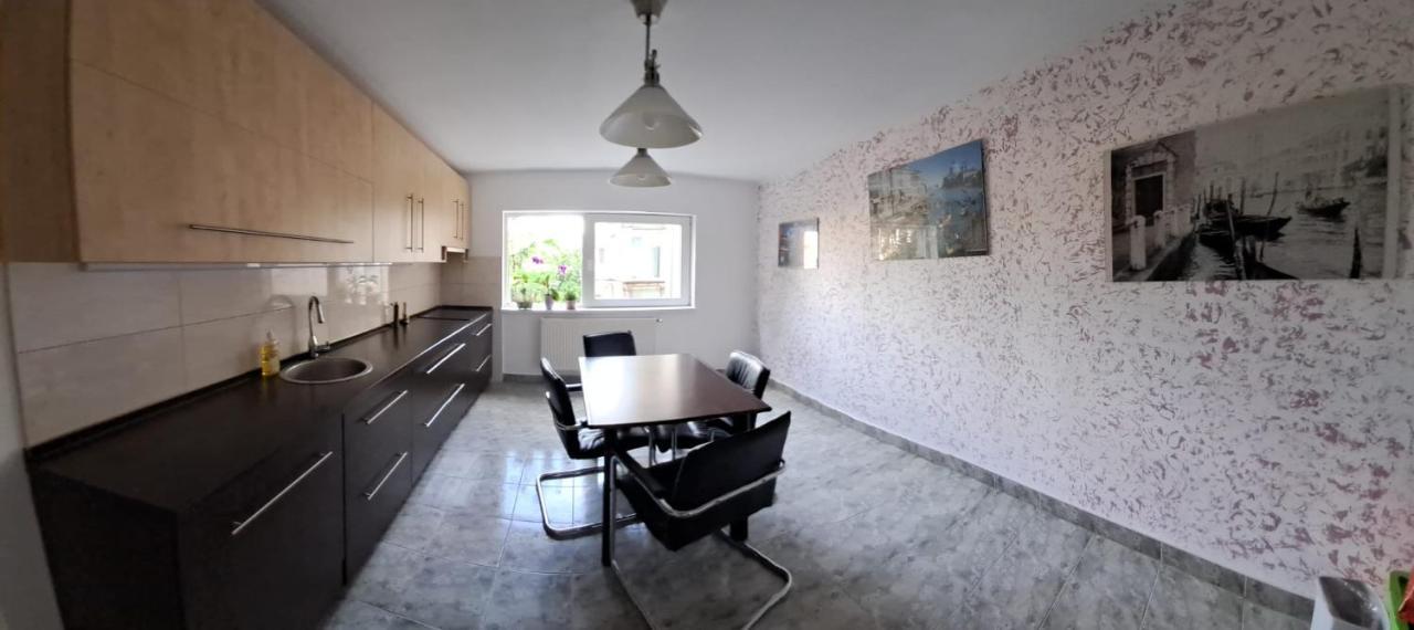 Daria Lorenzo Apartament Timisoara Bagian luar foto