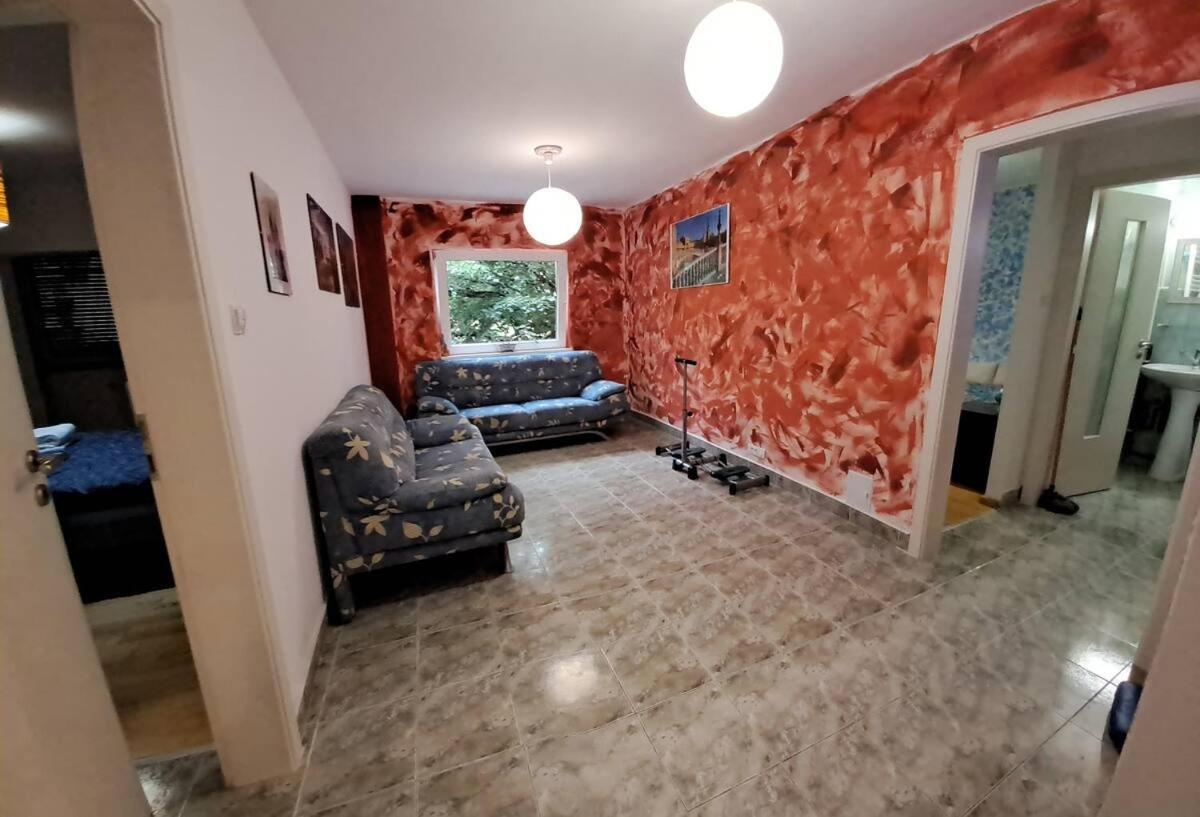 Daria Lorenzo Apartament Timisoara Bagian luar foto